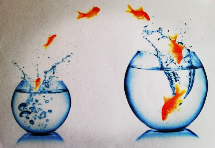 Trop à l’étroit ? Mets-toi à l’aise !